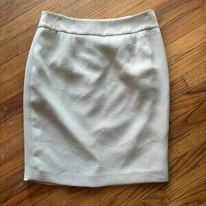 Anne Klein light Green Skirt